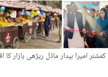 لیہ: وزیر اعلیٰ پنجاب مریم نواز شریف کا ایک اور وعدہ پورا،ماڈل ریڑھی بازار کا افتتاح، ڈپٹی کمشنر امیرا بیدار نے 50 یکساں ڈیزائن شدہ ریڑھیوں پر مشتمل بازار کا افتتاح کیا؛ شہر کی خوبصورتی میں اضافہ، ریڑھی مالکان کو باعزت روزگار اور عوام کو پرسکون خریداری کا جدید ماحول فراہم