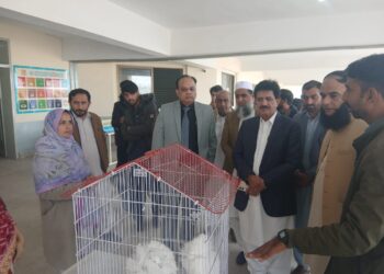 یونیورسٹی آف لیہ میں منفرد Pet شو، اعلیٰ نسل کے جانور اور پرندے شہریوں کی توجہ کا مرکز، ناچی نسل کی بکریاں طلبہ کی پسندیدہ؛ وائس چانسلر، لائیو اسٹاک افسران اور فیکلٹی کی شرکت