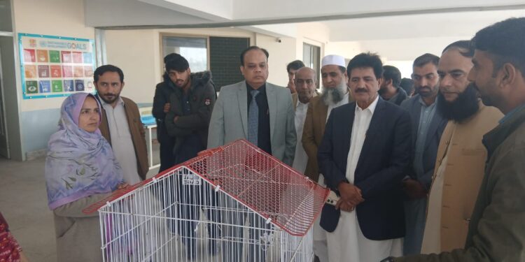 یونیورسٹی آف لیہ میں منفرد Pet شو، اعلیٰ نسل کے جانور اور پرندے شہریوں کی توجہ کا مرکز، ناچی نسل کی بکریاں طلبہ کی پسندیدہ؛ وائس چانسلر، لائیو اسٹاک افسران اور فیکلٹی کی شرکت