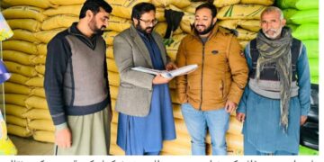 پی ایس ای آر سروے 31 دسمبر کو مکمل کرنے کی ڈیڈ لائن، 88 فیصد کام مکمل، مستحق خاندان صحت، تعلیم، رہائش اور سبسڈی سکیموں سے مستفید ہوں گے، ڈپٹی کمشنر آصف علی ڈوگر