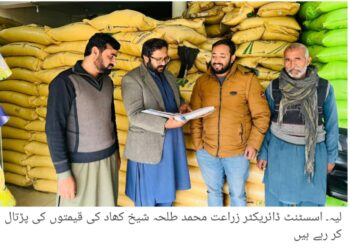 پی ایس ای آر سروے 31 دسمبر کو مکمل کرنے کی ڈیڈ لائن، 88 فیصد کام مکمل، مستحق خاندان صحت، تعلیم، رہائش اور سبسڈی سکیموں سے مستفید ہوں گے، ڈپٹی کمشنر آصف علی ڈوگر