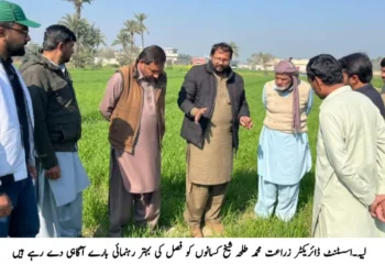 لیہ میں کاشتکاروں کے لیے گرین ٹریکٹر اسکیم فیز سوم کا آغاز، محکمہ زراعت کے تربیتی پروگرام میں سبسڈی، اہلیت اور گندم کی بہتر پیداوار سے متعلق رہنمائی