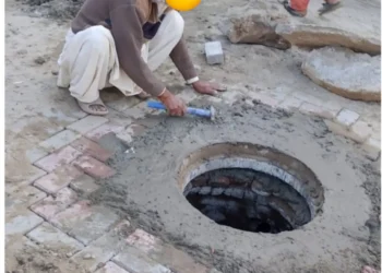 جڑی بوٹیاں گندم کی پیداوار میں 14 سے 42 فیصد کمی کا باعث بن سکتی ہیں، اسسٹنٹ ڈائریکٹر زراعت محمد طلحہ