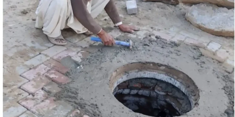 جڑی بوٹیاں گندم کی پیداوار میں 14 سے 42 فیصد کمی کا باعث بن سکتی ہیں، اسسٹنٹ ڈائریکٹر زراعت محمد طلحہ