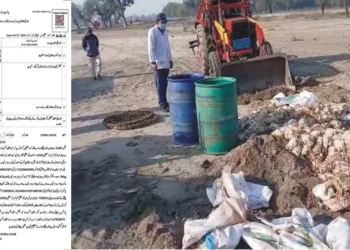 لیہ میں پنجاب فوڈ اتھارٹی کی بڑی کارروائی، مردہ مرغیوں سے بھرا لوڈر رکشہ پکڑ لیا گیا،700 کلو مضر صحت گوشت تلف، ملزم گرفتار، کارروائی تھانہ کروڑ کی حدود میں عمل میں لائی گئی