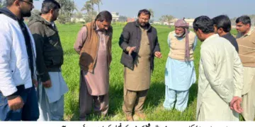 لیہ میں کاشتکاروں کے لیے گرین ٹریکٹر اسکیم فیز سوم کا آغاز، محکمہ زراعت کے تربیتی پروگرام میں سبسڈی، اہلیت اور گندم کی بہتر پیداوار سے متعلق رہنمائی
