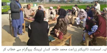 جڑی بوٹیاں گندم کی پیداوار میں 14 سے 42 فیصد کمی کا باعث بن سکتی ہیں، اسسٹنٹ ڈائریکٹر زراعت محمد طلحہ