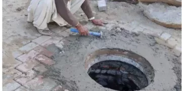 جڑی بوٹیاں گندم کی پیداوار میں 14 سے 42 فیصد کمی کا باعث بن سکتی ہیں، اسسٹنٹ ڈائریکٹر زراعت محمد طلحہ