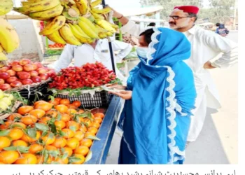 لیہ میں بیوٹیفیکیشن منصوبے پر تیزی سے کام جاری، پارکوں اور گرین بیلٹس کی بحالی مریم نواز شریف کے وژن پر عملدرآمد، اے ڈی سی جنرل شبیر احمد ڈوگر کا مختلف پارکوں کا تفصیلی دورہ