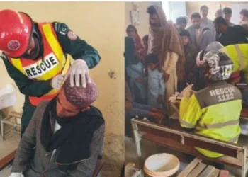 ضلع لیہ کے گورنمنٹ پرائمری اسکول ڈڈھے والا میں شہد کی مکھیوں کا حملہ، 6 افراد متاثر، چار بچے اور دو اساتذہ زخمی، ریسکیو ٹیموں نے بروقت کارروائی کرتے ہوئے متاثرین کو ٹی ایچ کیو چوبارہ منتقل کر دیا