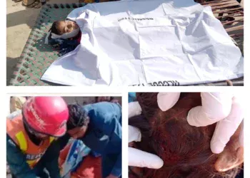 لیہ کا رہائشی نوجوان اسلام آباد دھماکے میں شہید، بستی مورانی کروڑ کے مولانا محمد امین حیدری کے فرزند عباس مہدی زخموں کی تاب نہ لاتے ہوئے جاں بحق