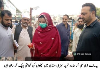 ایڈیشنل ڈپٹی کمشنر ریونیو عابدہ فرید کا فروٹ و سبزی منڈی لیہ کا دورہ