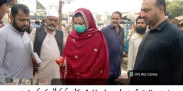 ایڈیشنل ڈپٹی کمشنر ریونیو عابدہ فرید کا فروٹ و سبزی منڈی لیہ کا دورہ