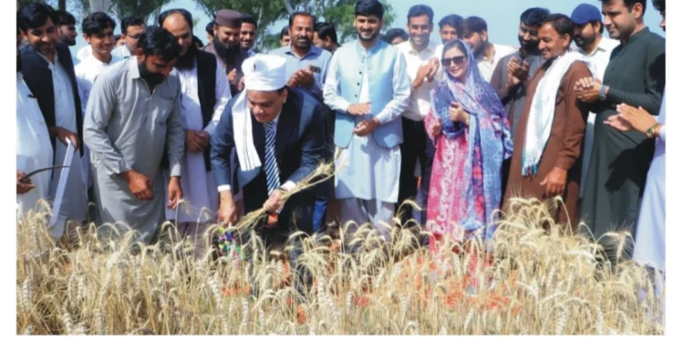 ضلع لیہ میں صفائی ستھرائی اور شہری سہولیات کی بہتری کے لیے اقدامات جاری