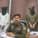 چوک اعظم پولیس کی کارروائی، اسلحہ ناجائز رکھنے والے دو ملزمان گرفتار پستول معہ راؤنڈ برآمد، مقدمات درج — شرپسند عناصر کے خلاف کارروائیاں جاری رکھنے کا عزم