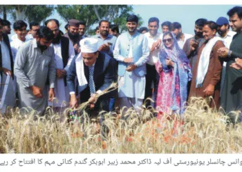 ضلع لیہ میں صفائی ستھرائی اور شہری سہولیات کی بہتری کے لیے اقدامات جاری
