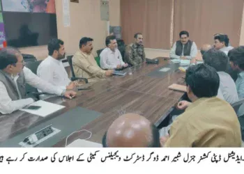 ڈسٹرکٹ ویجیلنس کمیٹی کا اجلاس، مزدوروں کو درپیش مسائل اور جبری مشقت کے خاتمے کے حوالے سے اقدامات کا تفصیلی جائزہ