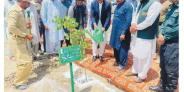 ارتھ ڈے پر لیہ میں شجرکاری مہم تیز، ڈپٹی کمشنر آصف علی ڈوگر نے اربن پلانٹیشن کے تحت پودا لگا دیا "گرین پنجاب” وژن کے تحت ضلع بھر میں شجرکاری جاری، رواں سال 1100 ایکڑ پر 7 لاکھ سے زائد پودے لگائے جا چکے، مزید 500 پودے لگانے کا اعلان