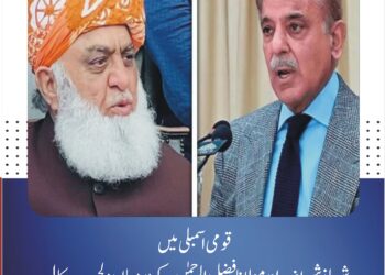قومی اسمبلی میں شہباز شریف اور مولانا فضل الرحمٰن کے درمیان دلچسپ مکالمہ، "بات قبر میں لے جاؤں گا مگر بتاؤں گا نہیں وزیرِ اعظم کی تنہائی میں ہونے والی گفتگو پر ایوان میں تجسس، مولانا نے اجازت دی مگر شہباز شریف نے انکار کر دیا
