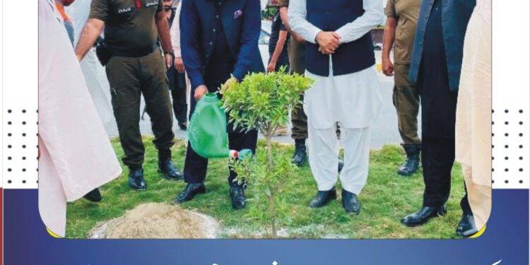 کمشنر ڈی جی خان کا مون سون شجرکاری مہم میں پودا لگانے کا آغاز، شہریوں سے بھرپور شرکت کی اپیل