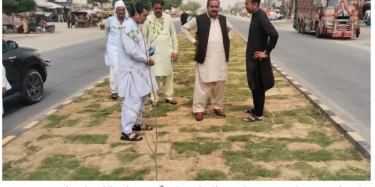 لیہ میں "سبزیاں اگاؤ” مہم شروع کرنے کا فیصلہ، سرکاری اراضی پر کچن گارڈن قائم ہوں گے
