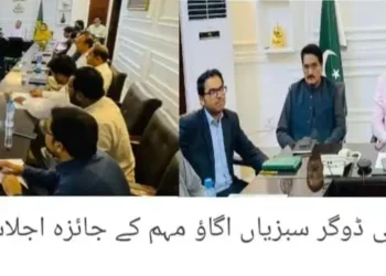 لیہ میں "سبزیاں اگاؤ” مہم شروع کرنے کا فیصلہ، سرکاری اراضی پر کچن گارڈن قائم ہوں گے