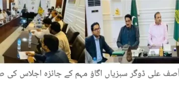لیہ میں "سبزیاں اگاؤ” مہم شروع کرنے کا فیصلہ، سرکاری اراضی پر کچن گارڈن قائم ہوں گے