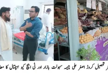 ڈپٹی کمشنر لیہ کا چوبارہ کا دورہ، اراضی ریکارڈ سنٹر اور سرکاری دفاتر میں سہولیات کا جائزہ