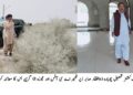 لَیَّہ: اسسٹنٹ کمشنر چوبارہ کا گرین بس چارجنگ اسٹیشن کی مجوزہ سائٹ اور زیرِ تعمیر اے سی ہاؤس کا دورہ