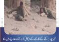 خیرپور: کتے کے کاٹنے کے مریض کو بروقت علاج نہ مل سکا، ورثا نے بے بسی میں درخت سے باندھ دیا واقعے نے طبی سہولیات اور انسدادِ ریبیز ویکسین کی دستیابی پر سنگین سوالات اٹھا دیے، عوام نے حکام سے فوری نوٹس لینے کا مطالبہ