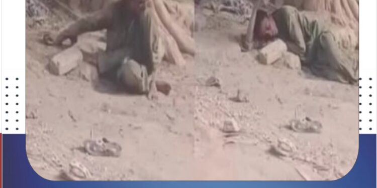 خیرپور: کتے کے کاٹنے کے مریض کو بروقت علاج نہ مل سکا، ورثا نے بے بسی میں درخت سے باندھ دیا واقعے نے طبی سہولیات اور انسدادِ ریبیز ویکسین کی دستیابی پر سنگین سوالات اٹھا دیے، عوام نے حکام سے فوری نوٹس لینے کا مطالبہ
