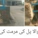 عوامی شکایات پر ڈپٹی کمشنر لیہ کا فوری ایکشن، خستہ حال ڈھول والا پل مرمت کے بعد بحال