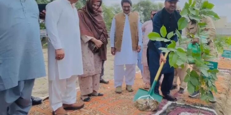 لیہ میں گرین پنجاب شجرکاری مہم تیز، ڈی سی آصف علی ڈوگر نے جی او آر میں پودا لگا دیا