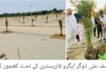 کروڑ لعل عیسن میں سموگ کنٹرول مہم، کسانوں کی آگاہی ریلی