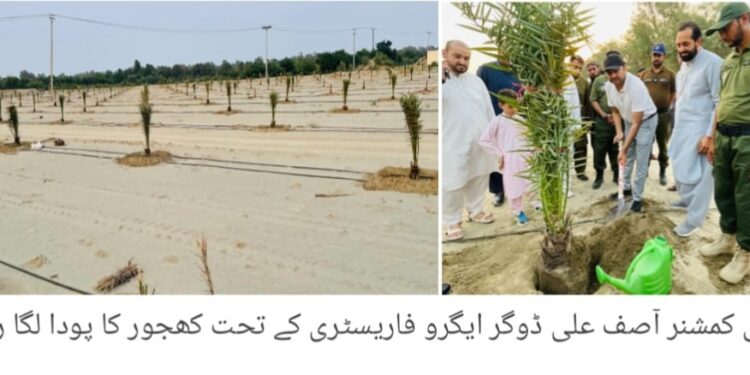 کروڑ لعل عیسن میں سموگ کنٹرول مہم، کسانوں کی آگاہی ریلی