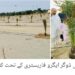 کروڑ لعل عیسن میں سموگ کنٹرول مہم، کسانوں کی آگاہی ریلی