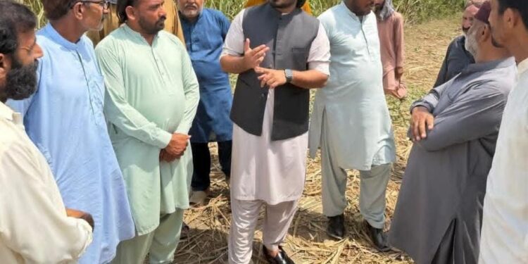 لیہ میں 20 کروڑ روپے سے زائد کی دو سڑکوں کی منظوری، تعمیر و مرمت کے ٹینڈرز جلد جاری ہوں گے