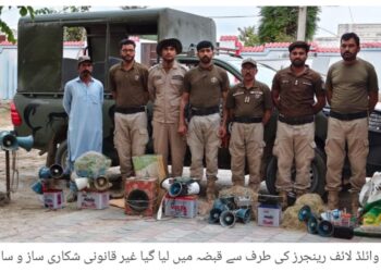 لیہ: بٹیر کے غیر قانونی شکار کے خلاف کریک ڈاؤن، 7 شکار سیٹ اپ، جال، بیٹریاں اور سپیکر قبضے میں لے لیے گئے