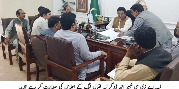 لیہ: سرکاری ہسپتالوں میں ادویات کی دستیابی اور ڈاکٹرز و طبی عملے کی حاضری یقینی بنانے کی ہدایت