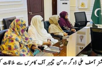 لیہ میں صفائی ستھرائی کی صورتحال، کچرے دان کے باہر گندگی کے ڈھیر، شہریوں کے لیے مشکلات لیہ: کچرے دان کے باہر گندگی کے ڈھیر، صفائی کے انتظامات پر سوالات اٹھنے لگے