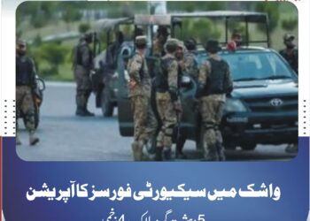 واشک میں سیکیورٹی فورسز کا آپریشن، 5 دہشت گرد ہلاک، 4 زخمی